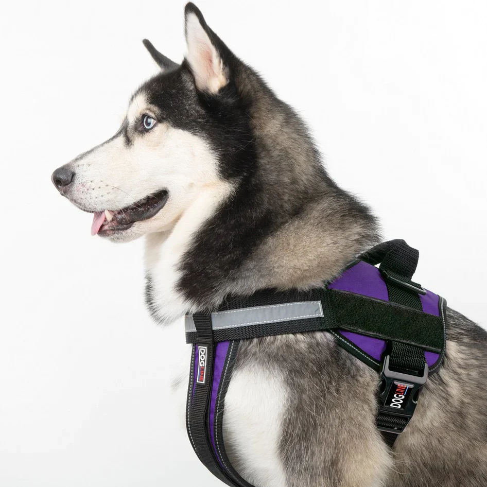 Dogline Unimax Multi-Purpose Dog Harness Purple - Image 4
