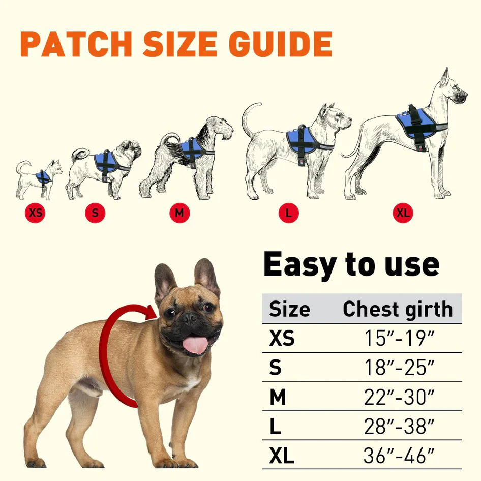 Dogline Unimax Multi-Purpose Dog Harness Red - Image 3