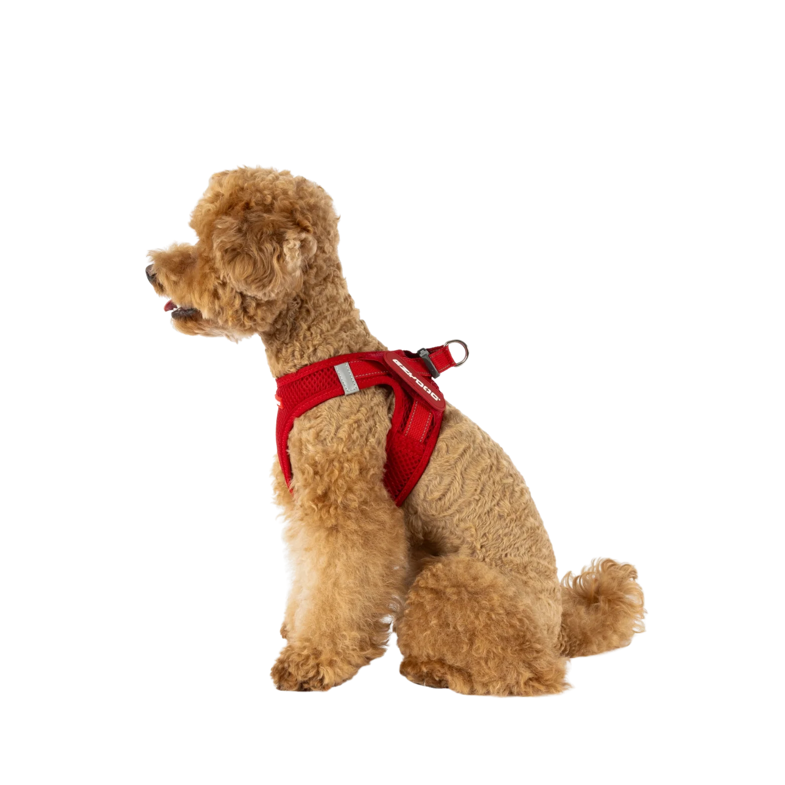 Ezydog Formfit Harness, Purple - Image 5