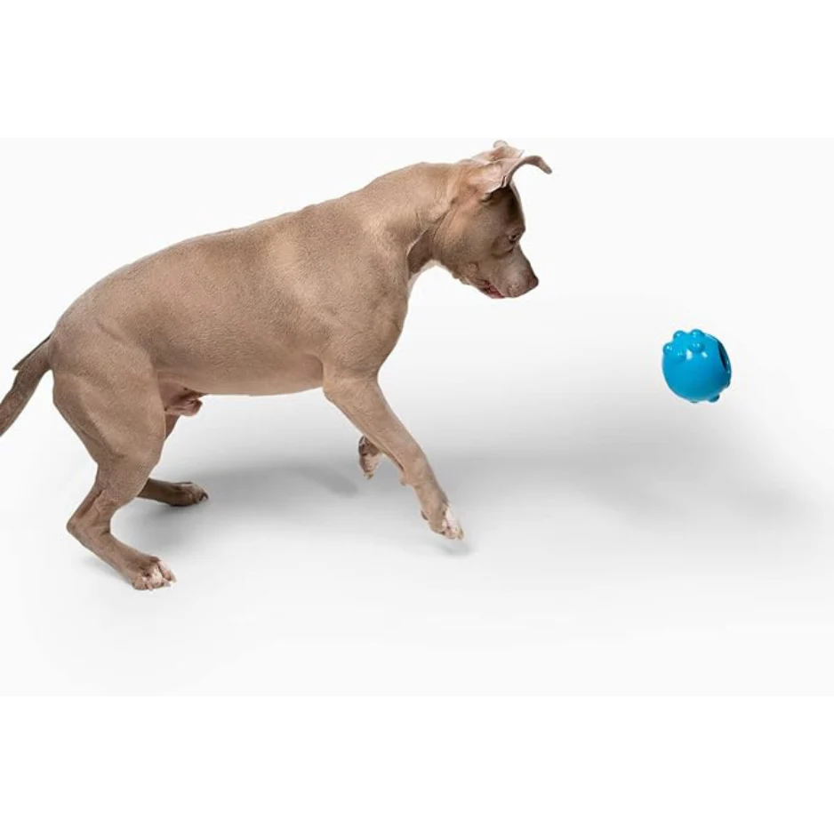 Jolly Pets Dipper Dog Toy Blue - Image 3