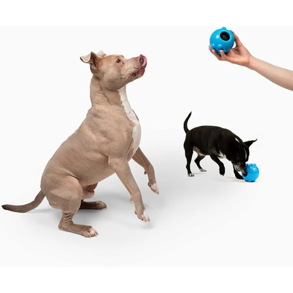 Jolly Pets Dipper Dog Toy Blue - Image 4