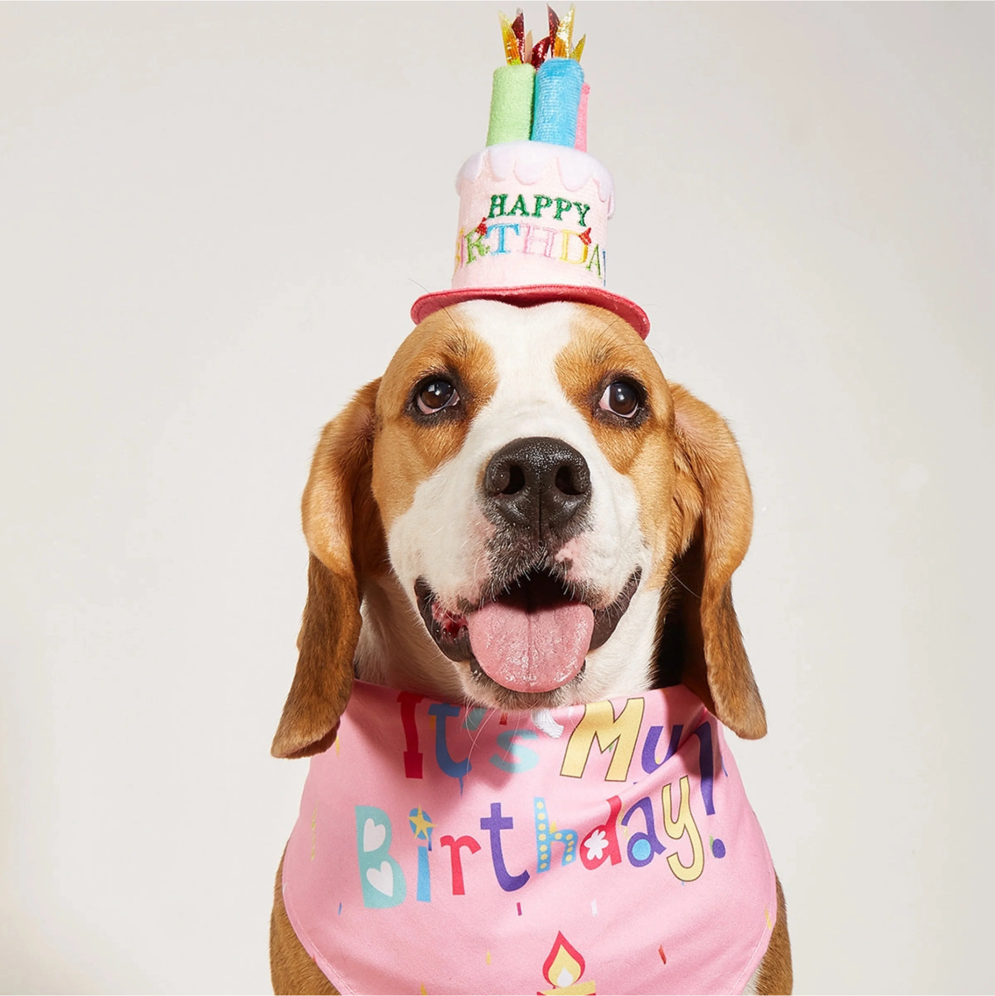Little Trendy Pink Pet Party Hat with Candles & It's My Birthday Pet Bandana - Image 2