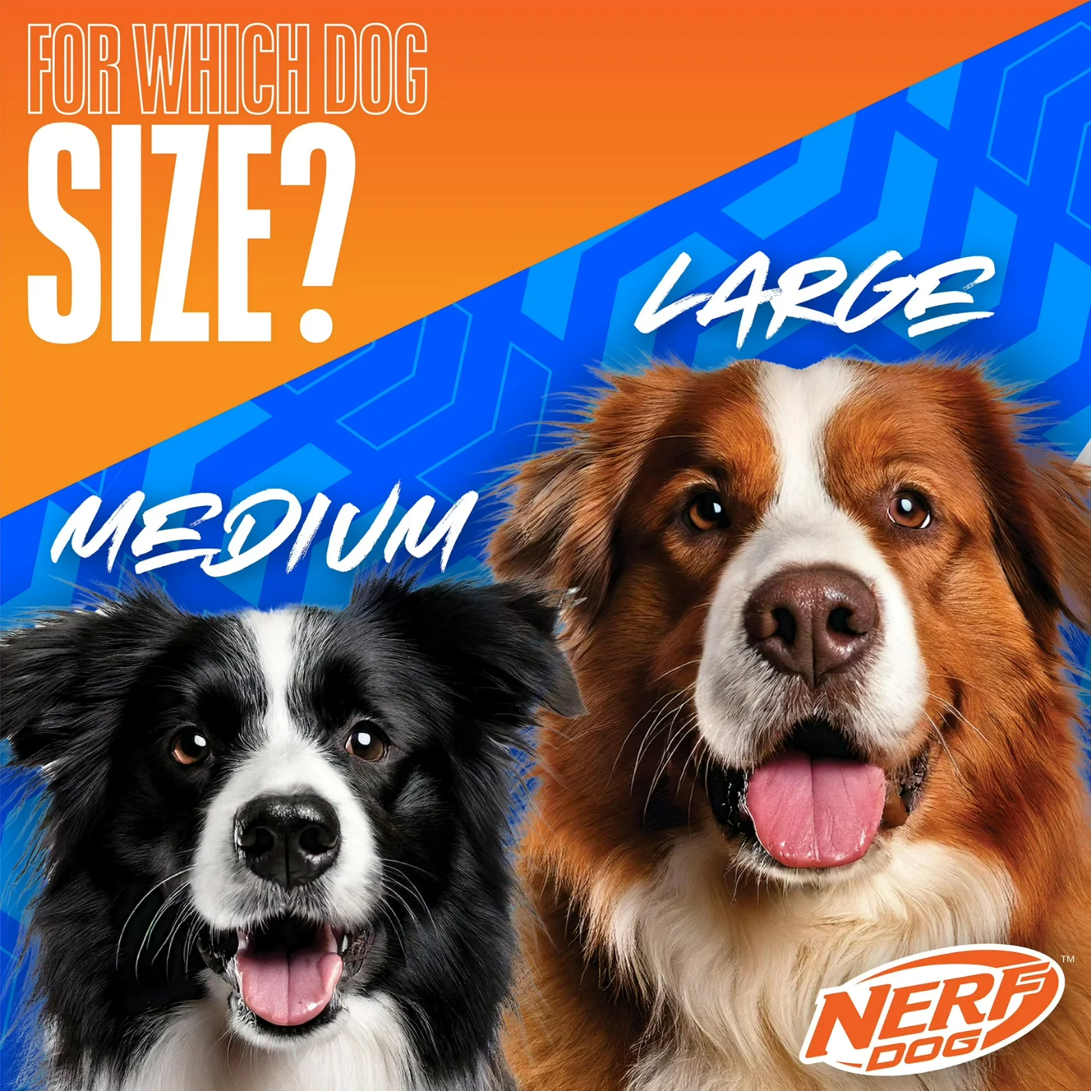 Nerf Dog Digital Camo Crinkle Wing Duck Launching Fetch Dog Toy, Orange/Blue, 16.5 inch - Image 5