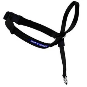 PetSafe Premier Gentle Leader Quick Release Dog Headcollar - Image 7