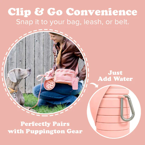 Puppington Collapsible Silicone Dog Water Bottle - Image 8