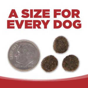 PureVita Grain-Free Beef & Lentil Dry Dog Food - Image 6