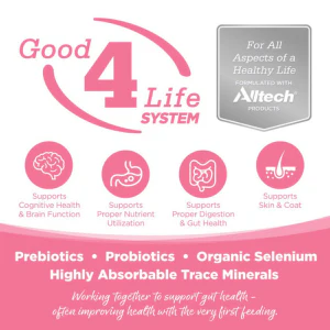 PureVita Grain-Free Salmon & Pea Dry Dog Food - Image 5