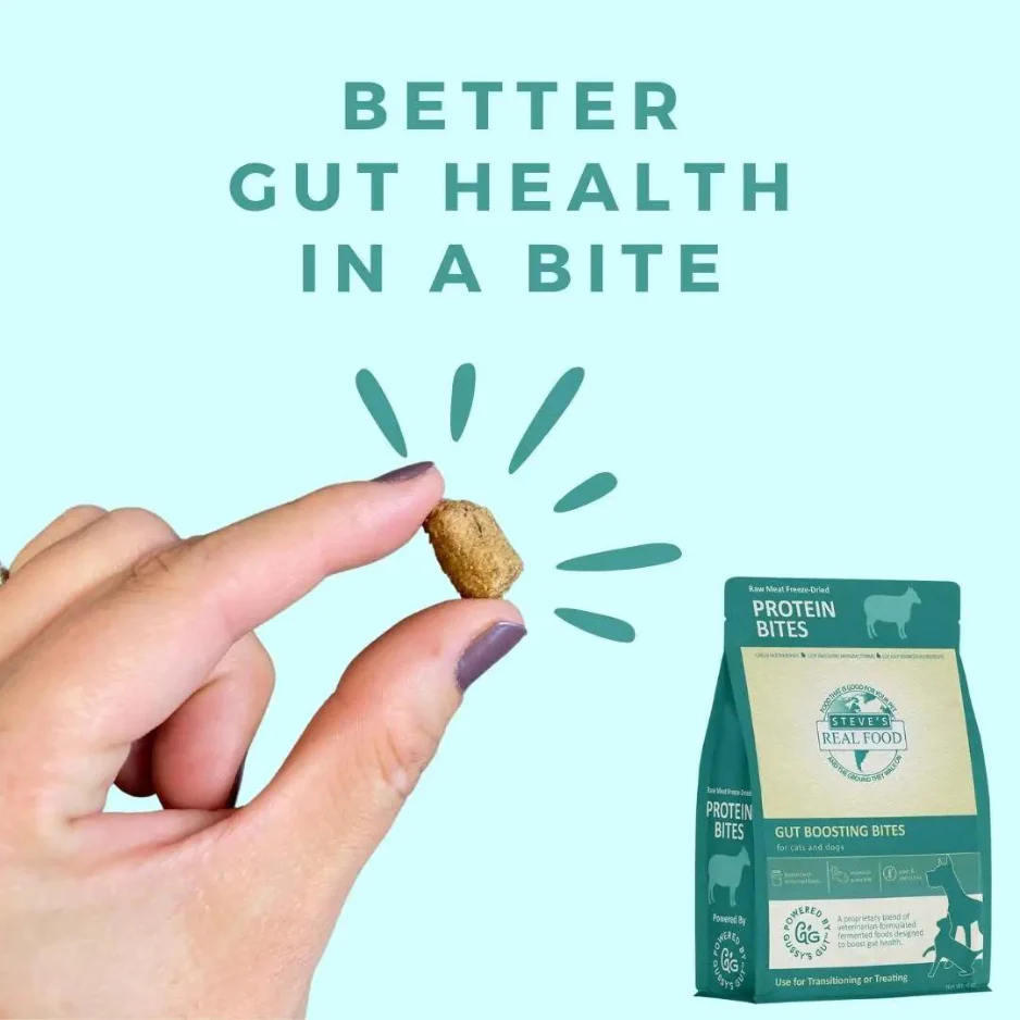Steve's Real Food Freeze Dried Gut Boosting Protein Treats Lamb For Dogs and Cats - Image 3