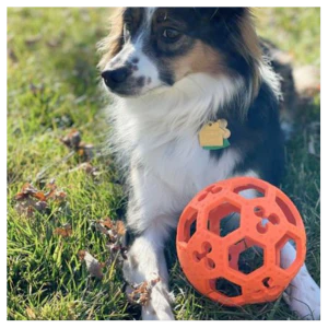 Tall Tails Goat 5" Flexiball Dog Toy - Image 7