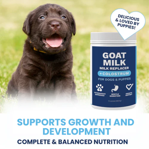 Under The Weather Goat Milk Replacer with Colostrum Powder for Puppies 12oz - Image 2