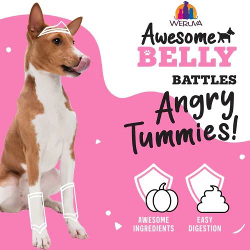 Weruva Awesome Functions Belly Beef & Rice Canned Dog Food - Image 3