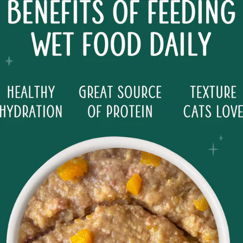 Weruva Senior Chicken Formula in Hydrating Puree Canned Cat Food - Image 3