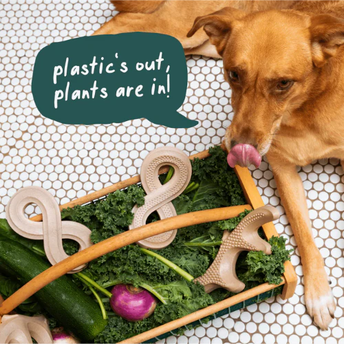 Woof Pet HonestChew, Antler Dog Chew - Image 3