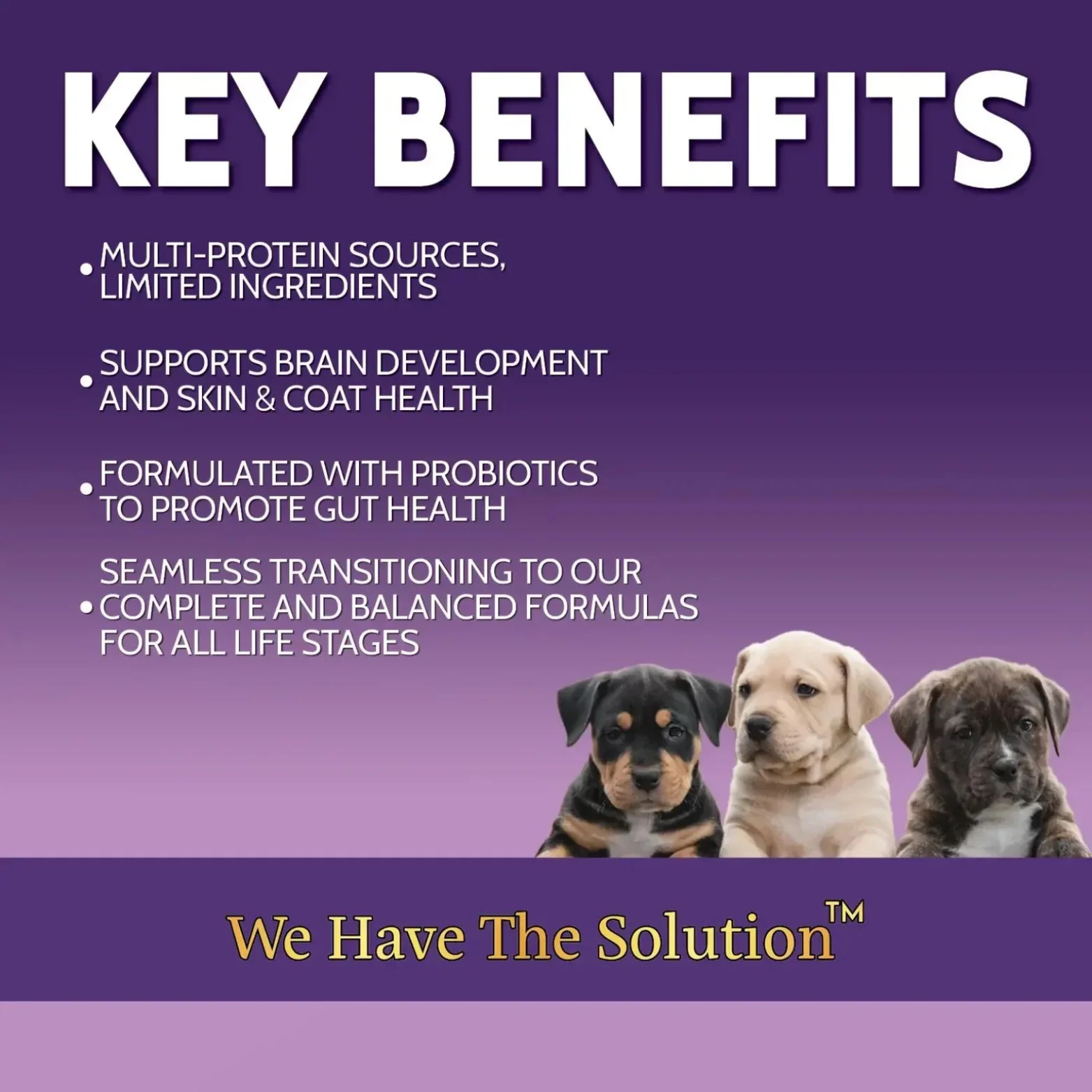 Zignature Puppy Limited Ingredient Formula Dry Dog Food - Image 3